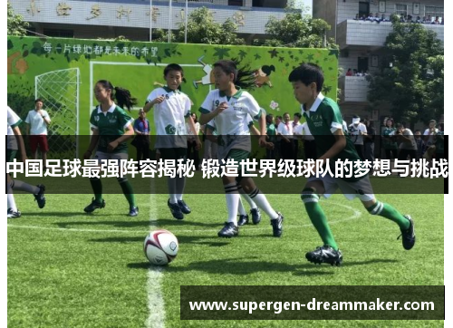 中国足球最强阵容揭秘 锻造世界级球队的梦想与挑战